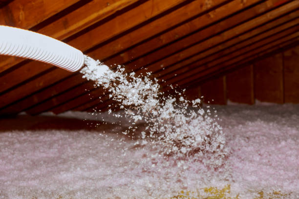 Best Types of Insulation in San Carlos, TX