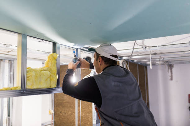 Best Insulation for Specific Applications in San Carlos, TX