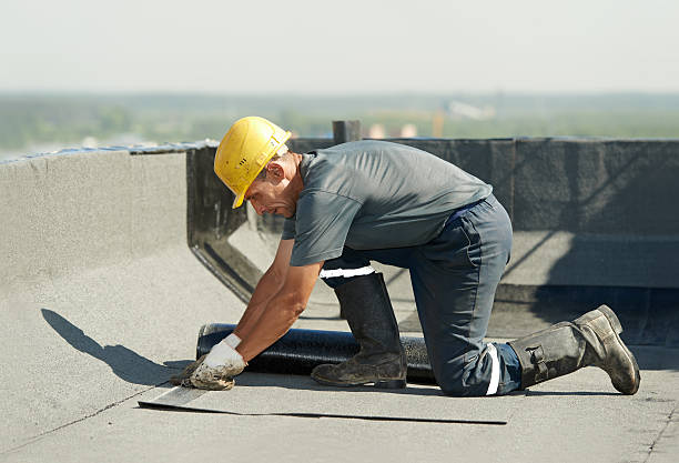 Best Energy Efficiency Solutions in San Carlos, TX